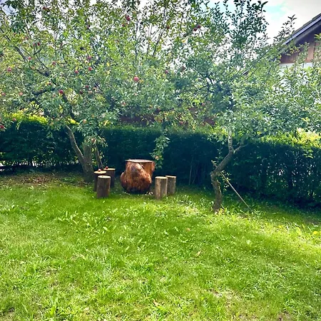 Apartma Dobnik Mozirje